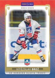 24-25 GOAL Cards - Vítězslav BROŽ č. TRE-16 Canvas 1of40