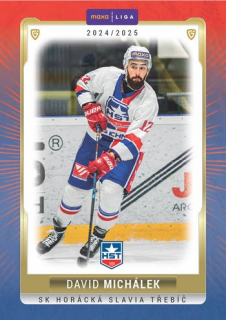24-25 GOAL Cards - David MICHÁLEK č. TRE-21 Canvas 1of40