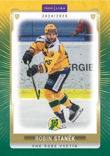 24-25 GOAL Cards - Robin STANĚK č. VSE-07 Canvas 1of40