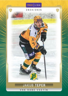 24-25 GOAL Cards - Jakub TEPER č. VSE-06 Canvas x/15