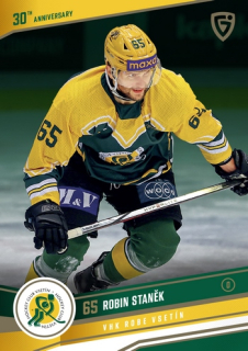 24-25 GOAL Cards - Robin STANĚK č. VS-16 Canvas x/15