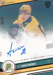 24-25 GOAL Cards - Adam SRDÍNKO č. VS-12 Auto 11/30