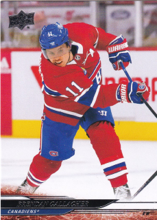 24-25 UD S1 - Brendan GALLAGHER č. 100