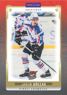 24-25 GOAL Cards - Jakub BŘEZÁK č. CHOM-04 Canvas 1of40