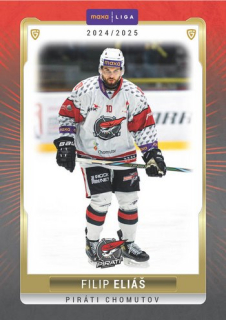 24-25 GOAL Cards - Filip ELIÁŠ č. CHOM-07 Canvas 1of40