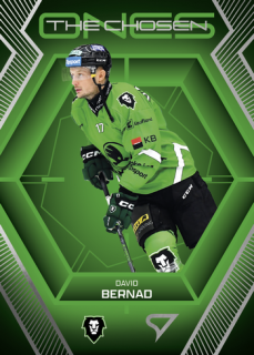 24-25 TELH - David BERNAD č. CO-33 The Chosen Ones
