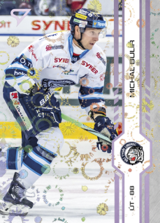 24-25 TELH - Michal BULÍŘ č. 304 Puck Marks