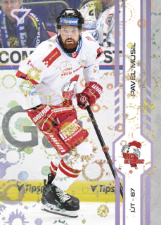 24-25 TELH - Pavel MUSIL č. 334 Puck Marks