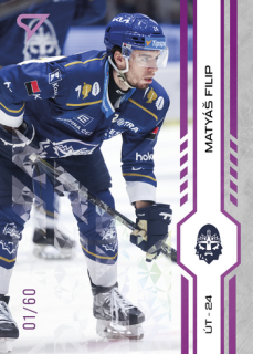 24-25 TELH - Matyáš FILIP č. 357 Purple Iceberg x/60