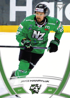24-25 TIPOS - Jayce HAWRYLUK č. 308
