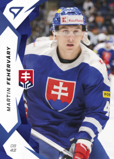 2025 Hokejové Slovensko - Martin FEHÉRVÁRY č. 10 Blue