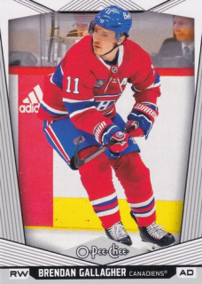 24-25 OPC - Brendan GALLAGHER č. 227