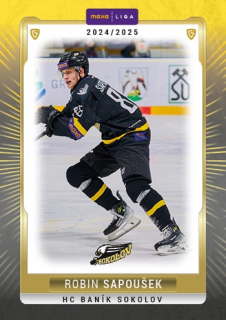 24-25 GOAL Cards - Robin SAPOUŠEK č. SOK-33