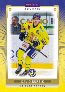 24-25 GOAL Cards - David BURŠÍK č. PRE-35