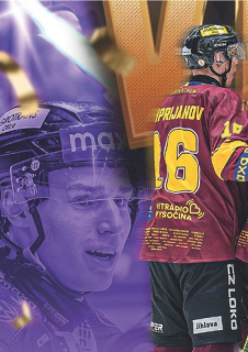24-25 GOAL Cards - Vítěz Maxa liga 24/25 č. DWP-A4 Puzzle
