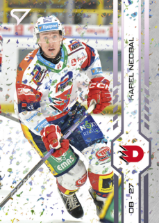 24-25 TELH - Karel NEDBAL č. 369 Puck Marks