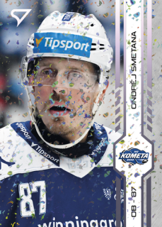 24-25 TELH - Ondřej SMETANA č. 391 Puck Marks