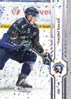 24-25 TELH - Radim ŠALDA č. 439 Puck Marks