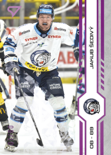 24-25 TELH - Jakub ŠEDIVÝ č. 406 Purple Iceberg x/60