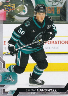 24-25 AHL - Ethan CARDWELL č. 31