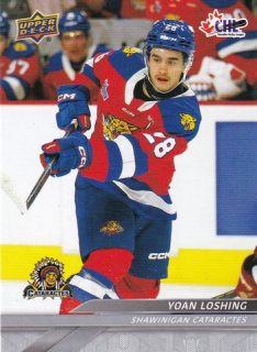 24-25 CHL - Yoan LOSHING č. 21