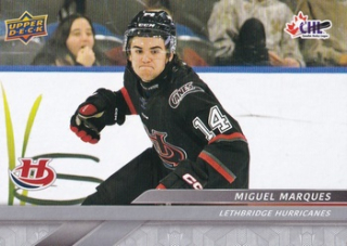 24-25 CHL - Miguel MARQUES č. 32