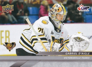 24-25 CHL - Gabriel D'AIGLE č. 156