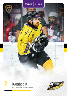 25-26 GOAL CARDS - Radek ČÍP č. SOK-12 Canvas