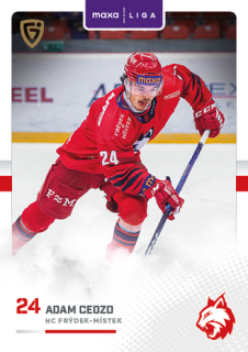 25-26 GOAL CARDS - Adam CEDZO č. FMI-10